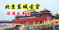 荷兰插逼中国北京-东城古宫旅游风景区